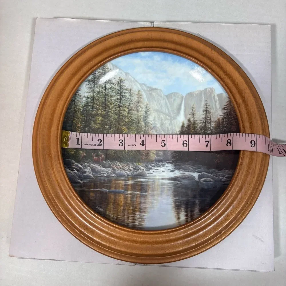 1988 Collector's Plate, Yosemite Falls Harry Johnson, NEW W.S. George Fine China